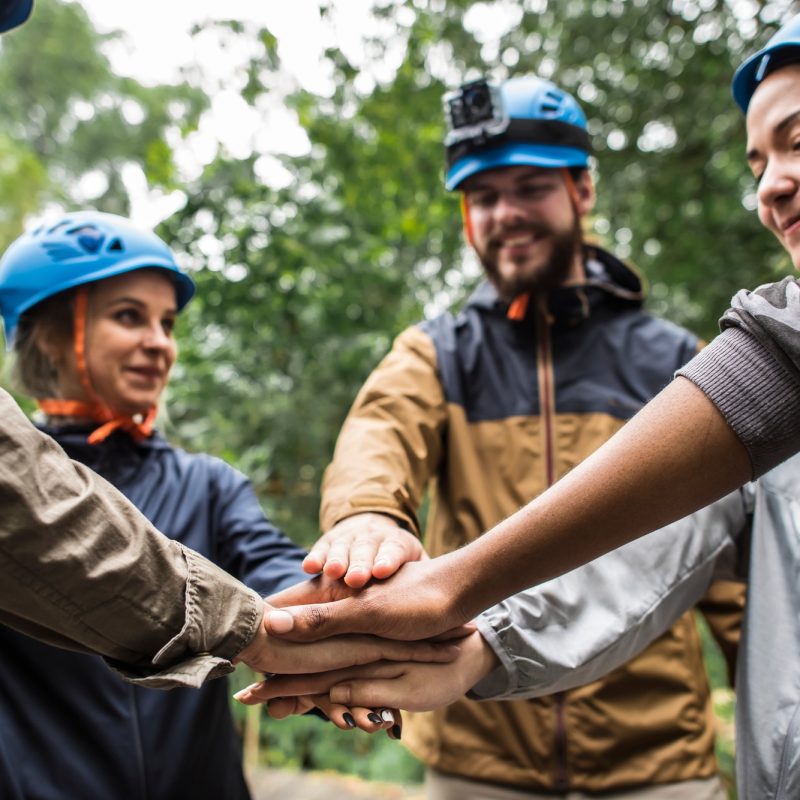 Team building outdoor in the forest